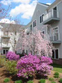 About Ridgefield Apartments Beechtree Garden Side